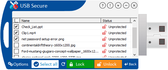 USB Secure access screen